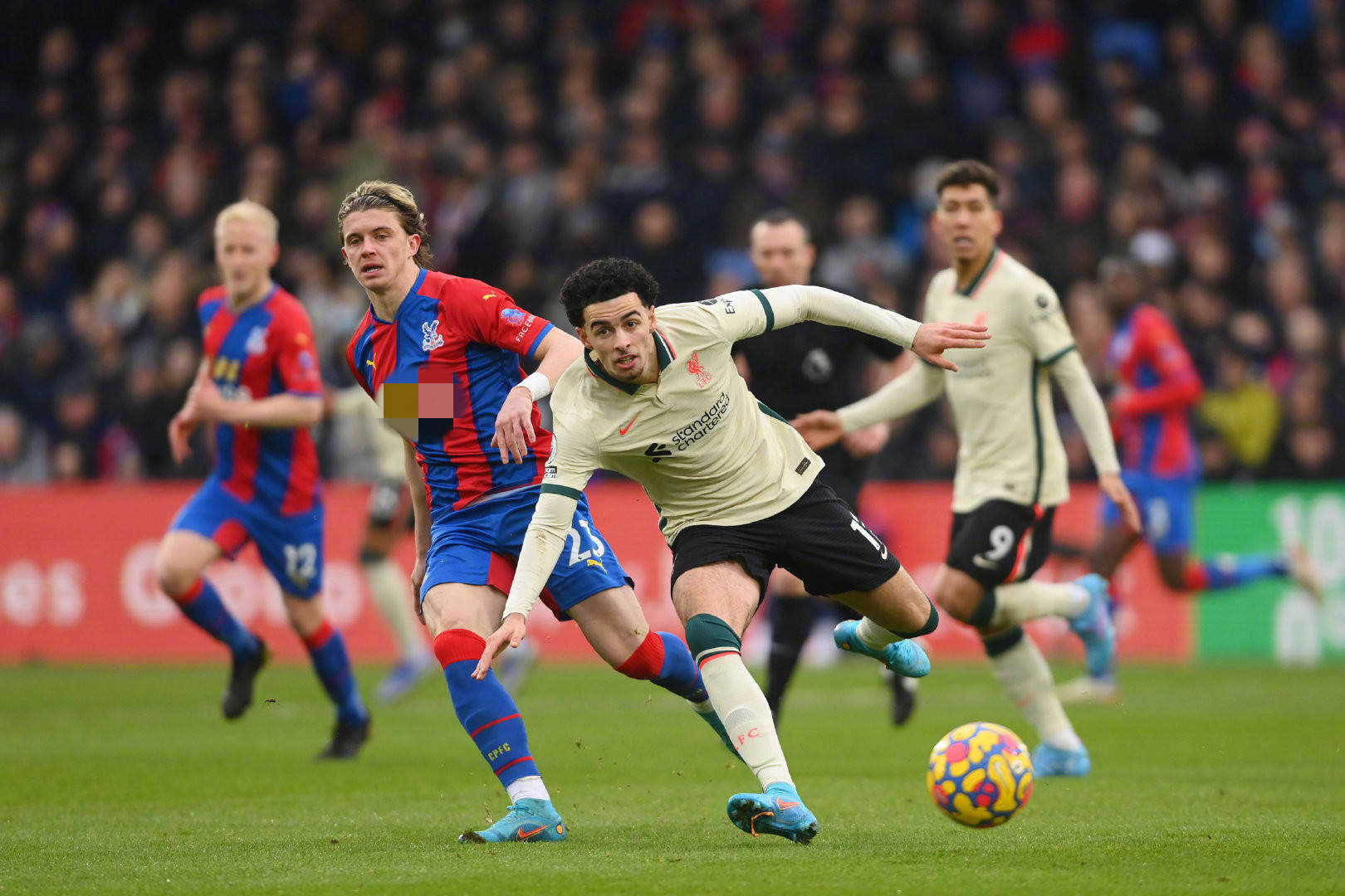 约基奇同样 约基奇同样